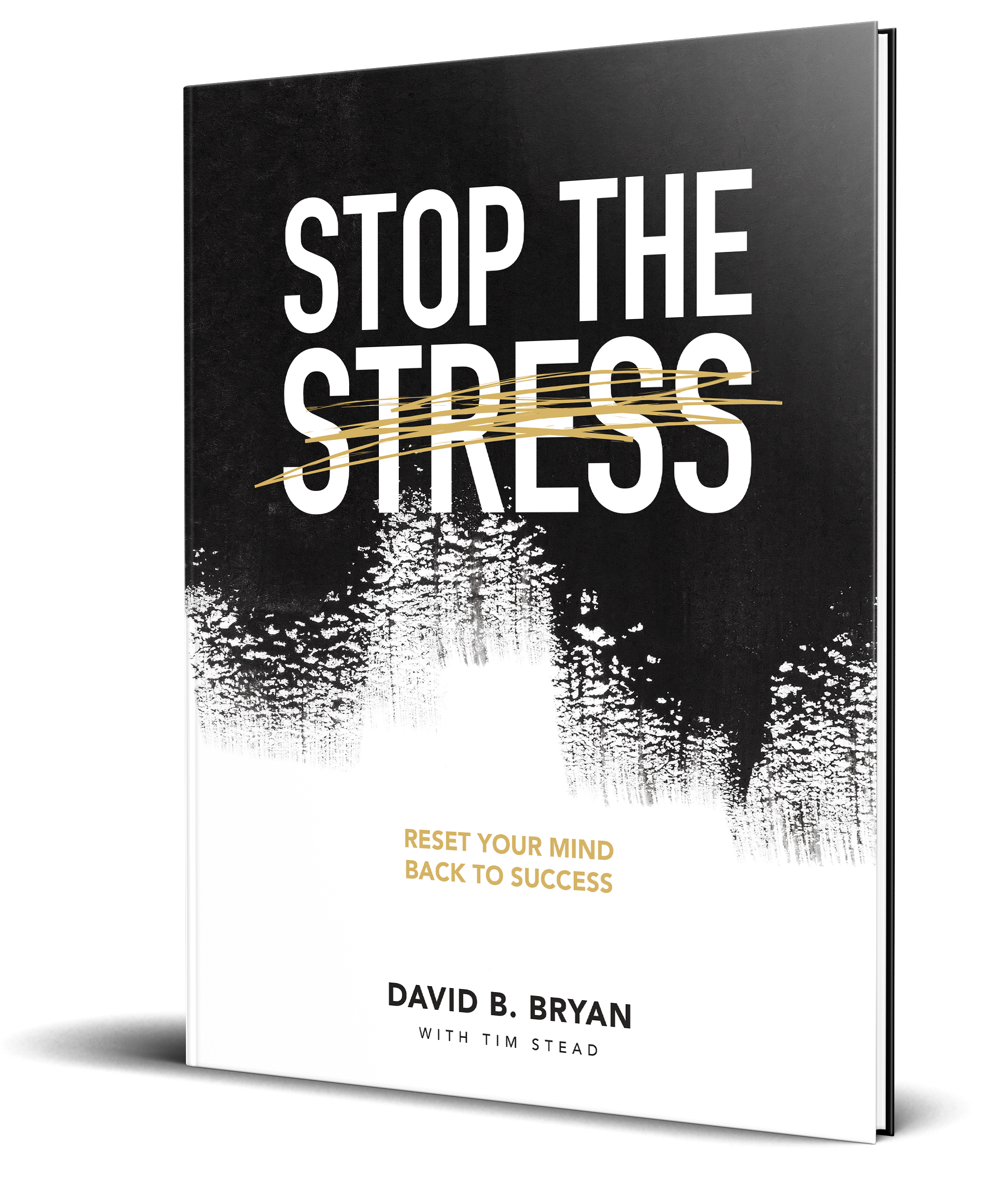洋書 STOP THE STRESS FOR PERSONAL GROWTH Stop The Stress eBook — MindThrive